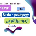 urdu ctet online test